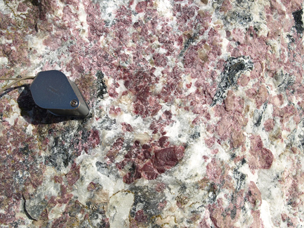 Close up of coarse, subhedral to anhedral red eudialyte in situ, in outcrop of pegmatitic grennaite in the Norra Kärr (photo E Jonsson).